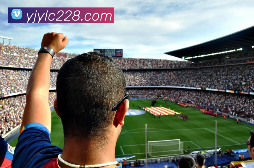 盈吉娱乐城官网平台生态图